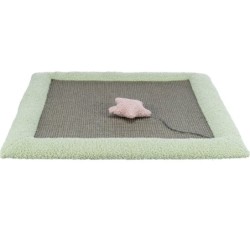 TRIXIE Junior Kratzmatte für Kätzchen 47 × 47 cm