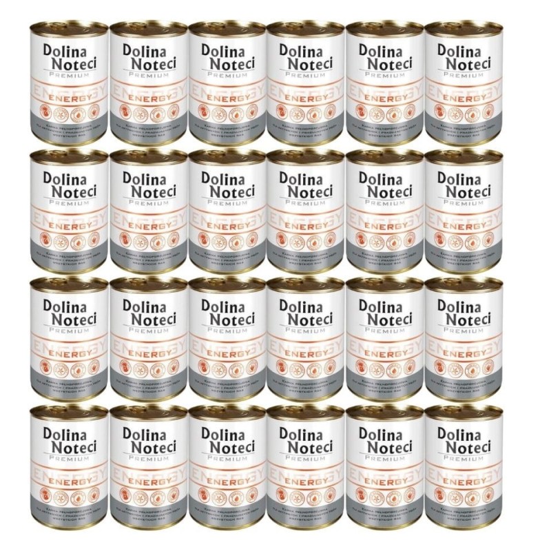 DOLINA NOTECI Premium Energy 24 x 400g