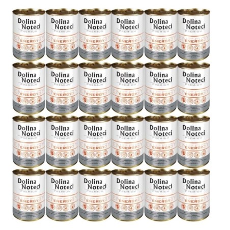 DOLINA NOTECI Premium Energy 24 x 400g