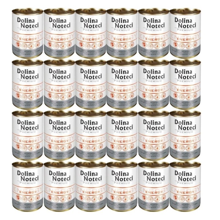 DOLINA NOTECI Premium Energy 24 x 400g