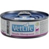 FARMINA Vet Life Natural Diet Cat Struvite Management 85 g