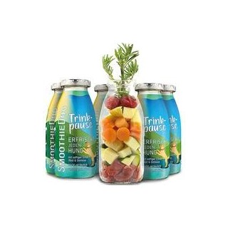 Schecker - SmoothieDog Hundesmoothies [Ente - 6 Stück]