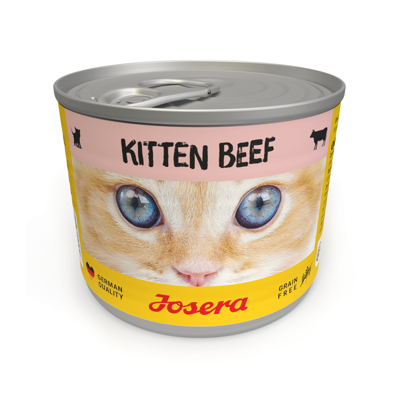 JOSERA Kitten Rindfleisch-Nassfutter für Kätzchen 200g