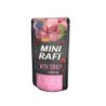 RAFI Mini Nassfutter mit Pute, Heidelbeeren und Preiselbeeren für kleine Rassen 150g