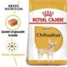 ROYAL CANIN Chihuahua Adult Hundefutter trocken 1,5 kg