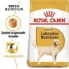ROYAL CANIN Labrador Retriever Adult Hundefutter trocken 12 kg