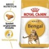 ROYAL CANIN Bengal Adult Katzenfutter trocken 2 kg