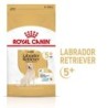 ROYAL CANIN Labrador Retriever Adult 5+ Trockenfutter für Hunde ab 5 Jahren 12kg