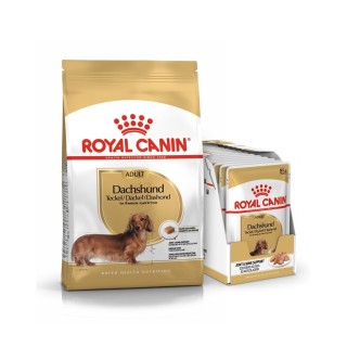 ROYAL CANIN Dachshund Adult Hundefutter trocken für Dackel 7,5 kg + nass für Dackel 12 x 85 g