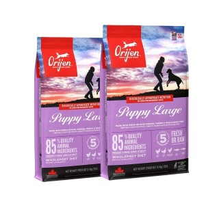 ORIJEN Puppy Large 22,8 kg (2 x 11,4 kg)