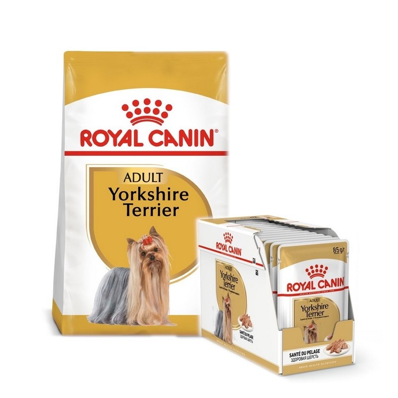ROYAL CANIN Yorkshire Terrier Adult Hundefutter trocken 7,5 kg + nass Mousse 12 x 85 g