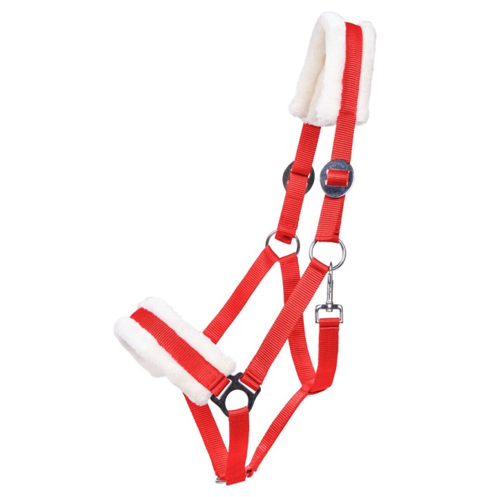 Halfter für Pferd Q-essentials Cali