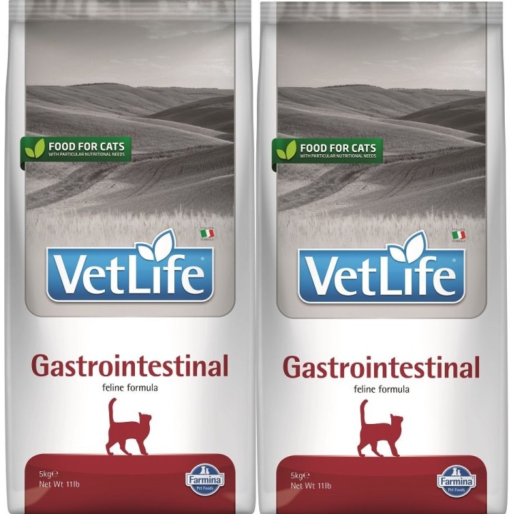 FARMINA Vet Life Gastrointestinal Katze 2x5 kg
