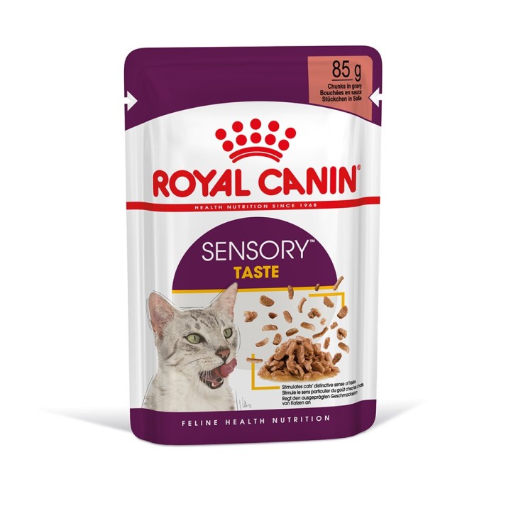 Royal Canin Sensory Taste in Soße - 12 x 85 g