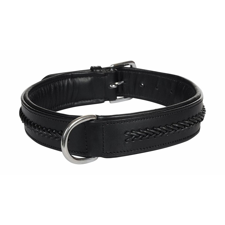 Hundehalsband Hekktor Thor