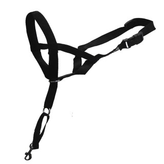 Verstellbarer Maulkorb für Hunde D&D Home