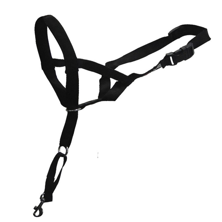 Verstellbarer Maulkorb für Hunde D&D Home