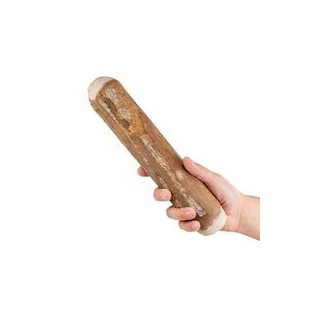 Chewies® Olivenholz Kaustab [Größe L - 1 Stück]