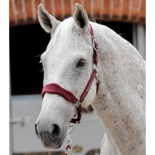 Gepolstertes Halfter aus Fleece für Pferde Premier Equine