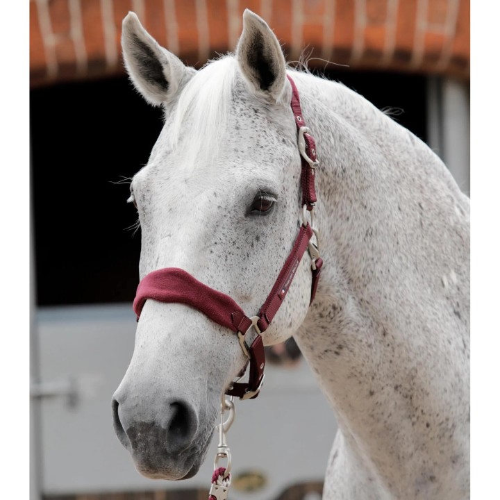 Gepolstertes Halfter aus Fleece für Pferde Premier Equine