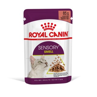 Royal Canin Sensory Smell in Soße - Sparpaket: 24 x 85 g