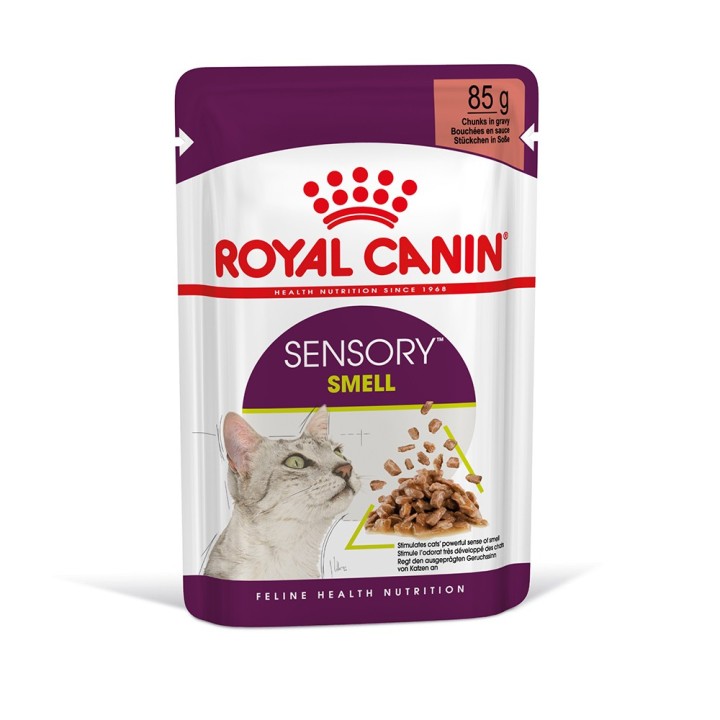 Royal Canin Sensory Smell in Soße - Sparpaket: 24 x 85 g