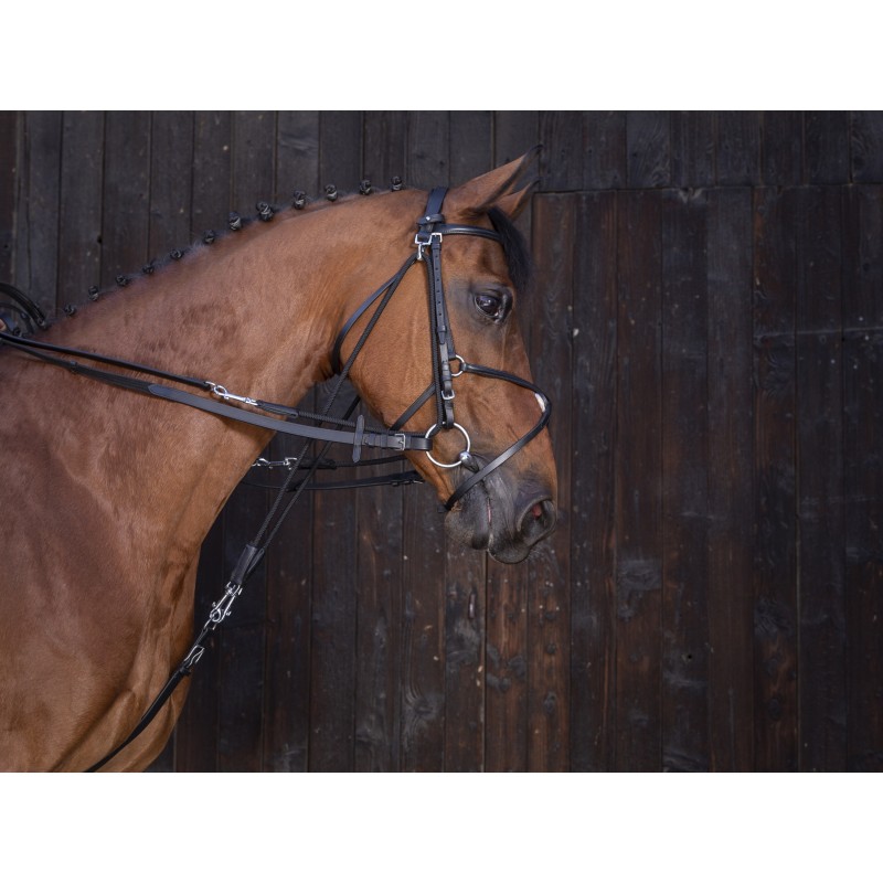 Zügel Riding World
