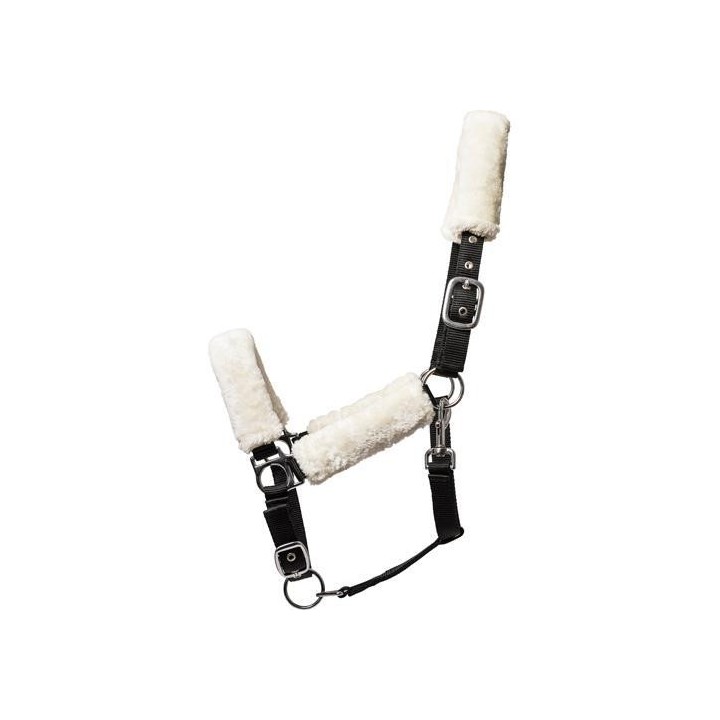 Gepolstertes Halfter HorseGuard