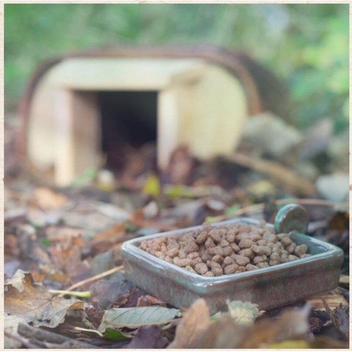 Wildlife Igel Snackschale - 1 Stk