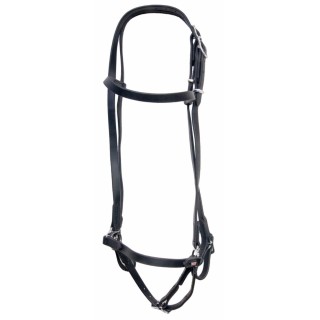 Reittrense mit hannoveranischem Reithalfter Karlslund