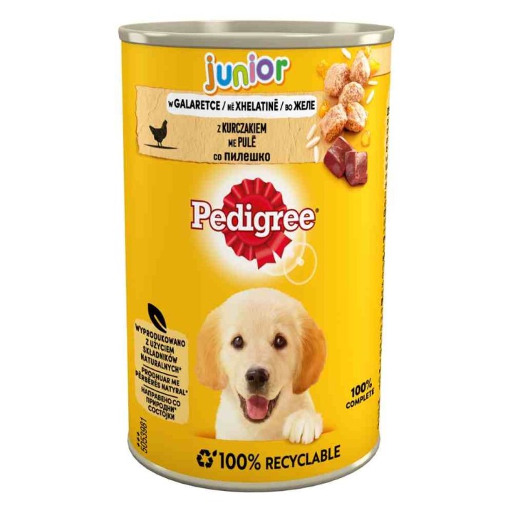 Pedigree Junior 24 x 400 g - mit Huhn in Gelee