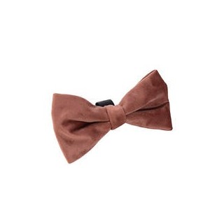 Designed by Lotte Hunde-Festtagsfliege [Rosa]