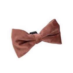 Designed by Lotte Hunde-Festtagsfliege [Rosa]