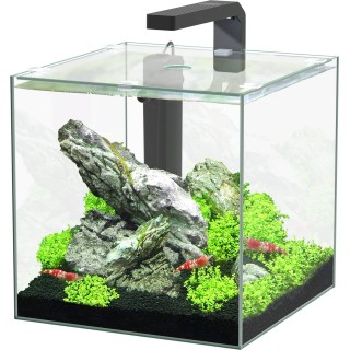 Aquatlantis Kubus 15 L LED Aquarienset - 1 Set