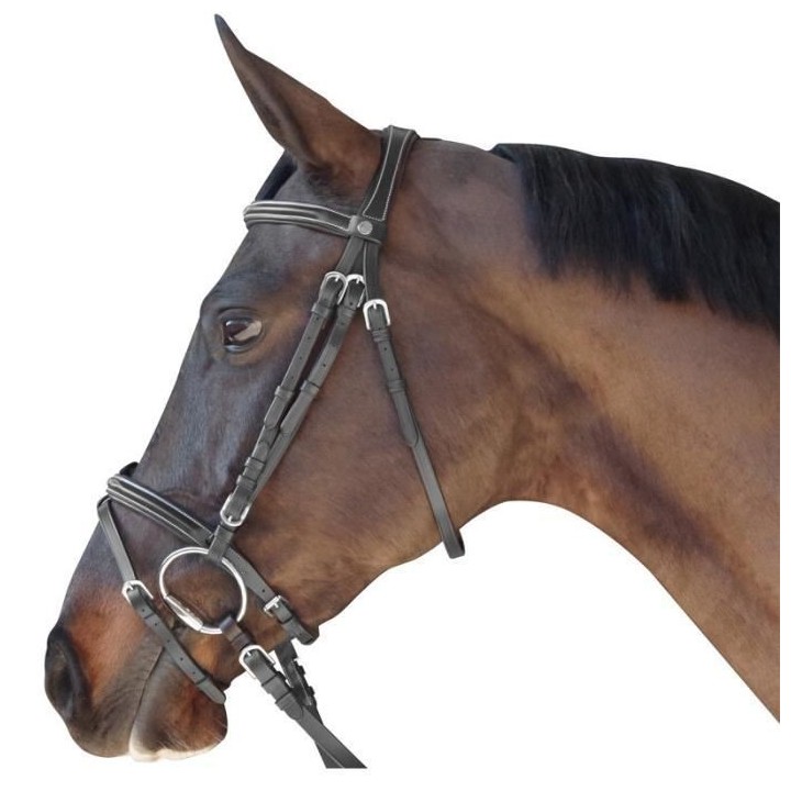 Zaumzeug Reiten Flags&Cup Madrid