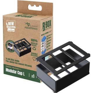 Aquatlantis Modular Cup für B-Box - L