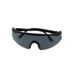 Sonnenbrille