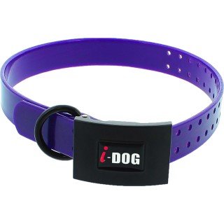 Hundehalsband I-DOG Premium