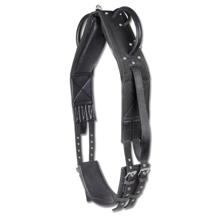 Synthetischer Voltigiergurt für Pferde Waldhausen