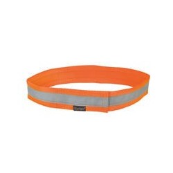 Mystique&reg, Signalhalsband [40cm - neonorange]