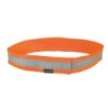 Mystique&reg, Signalhalsband [40cm - neonorange]