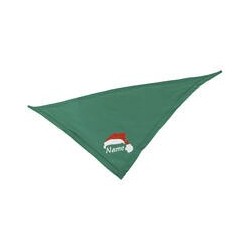 Schecker - Besticktes Weihnachts-Halstuch Mütze + Name [50cm - Grün]
