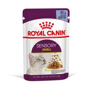 Royal Canin Sensory Smell in Gelee - 12 x 85 g