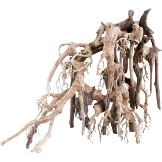 Amtra Holz Oriental WIND 1 - SM