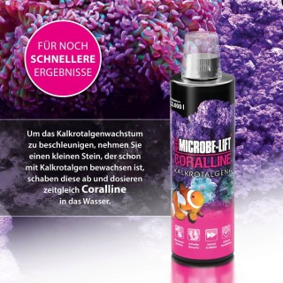 Microbe-Lift Coralline - 5000 ml