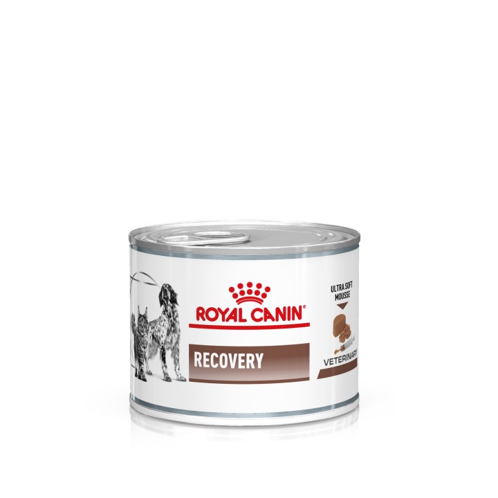 Royal Canin Veterinary Canine Recovery Mousse - 12 x 195 g
