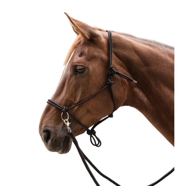 Knotenhalfter mit Zügeln für Ponys Waldhausen