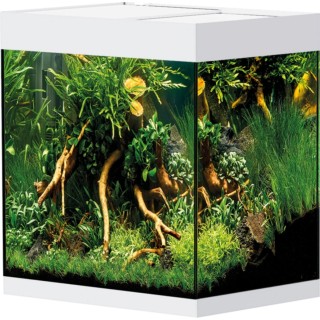 Oase StyleLine 85 Aquarium - weiß