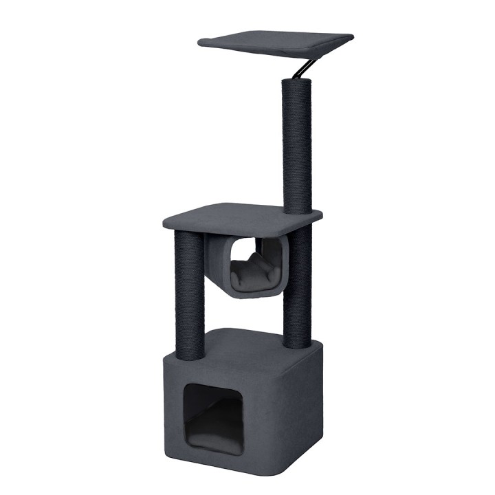 Kratzbaum Ebi Okinawa