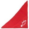 Schecker - Besticktes Weihnachts-Halstuch Rentierschlitten + Name [65cm - Rot]